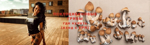 PSILOCYBIN Верхнеуральск