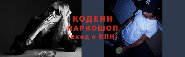 PSILOCYBIN Бородино