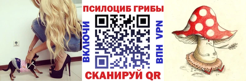 продажа наркотиков  Новороссийск  Галлюциногенные грибы Magic Shrooms 