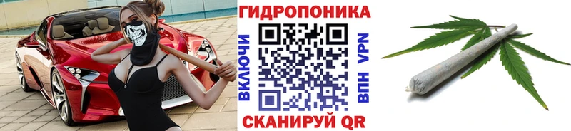 Шишки марихуана SATIVA & INDICA  купить наркотики сайты  Новороссийск 